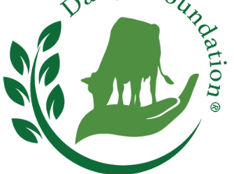 Dairy Foundation Opens Grant Applications