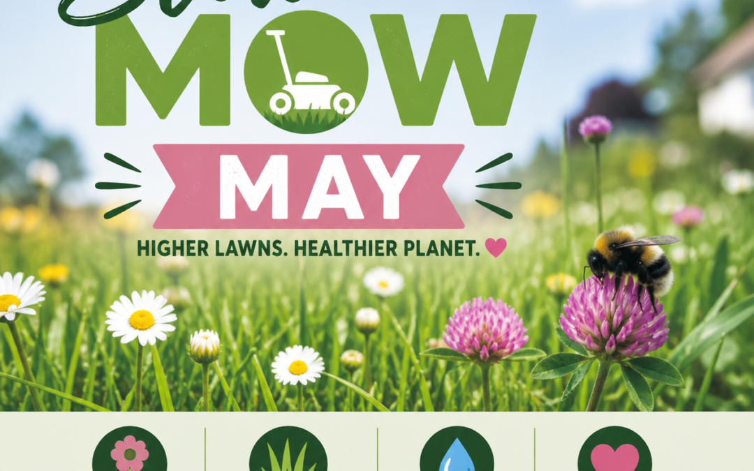 City of Fond du Lac Public Information Message – Slow Mow May