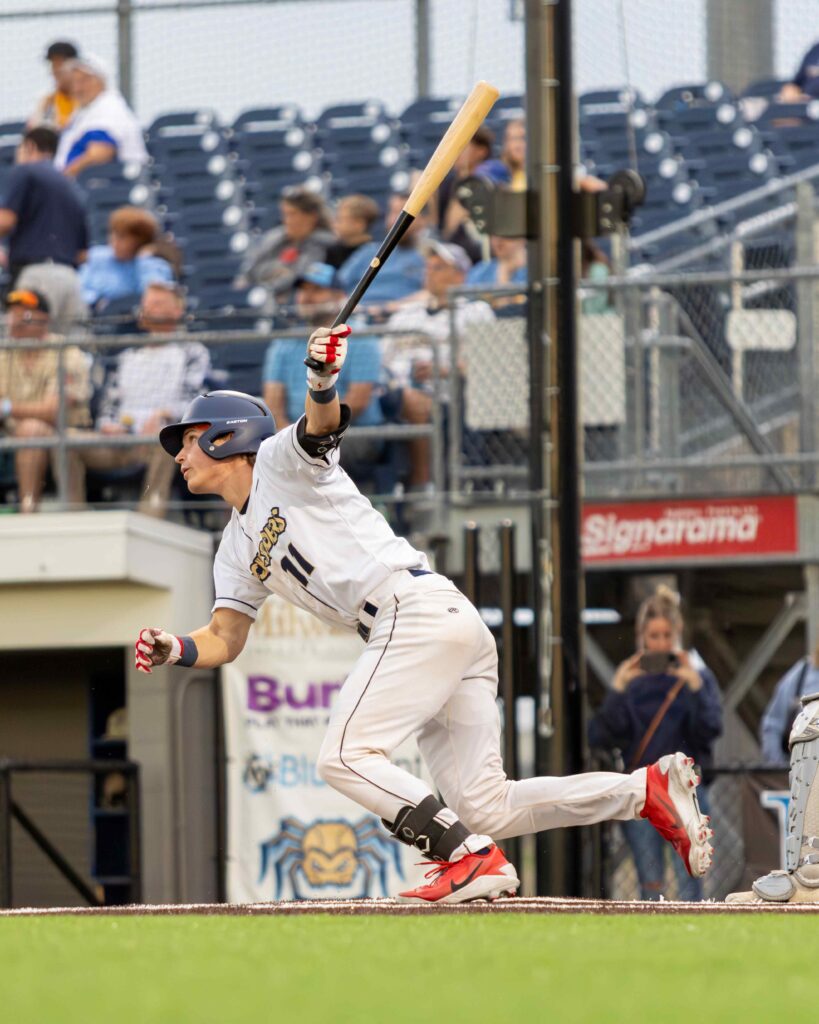 Baseball batter