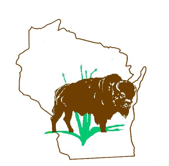 Bluestem Bison