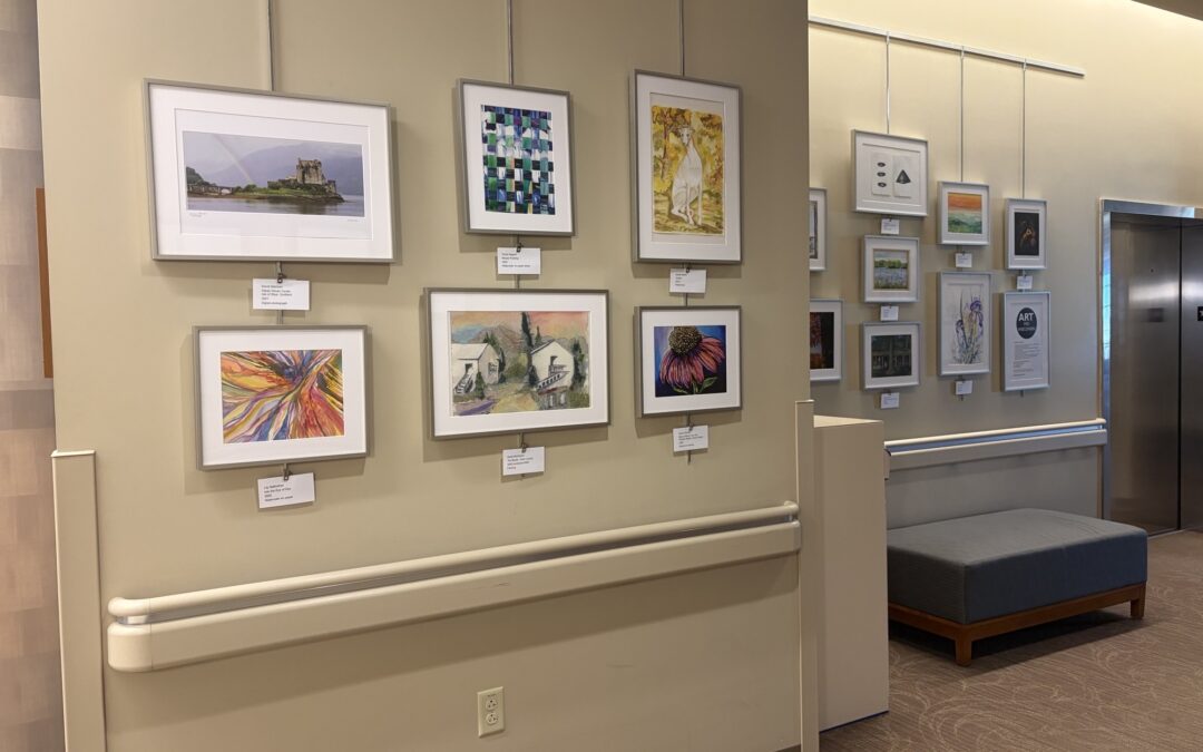 SSM Health Ripon Community Hospital opens new community art gallery