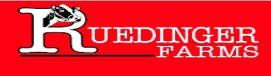 Ruedinger logo