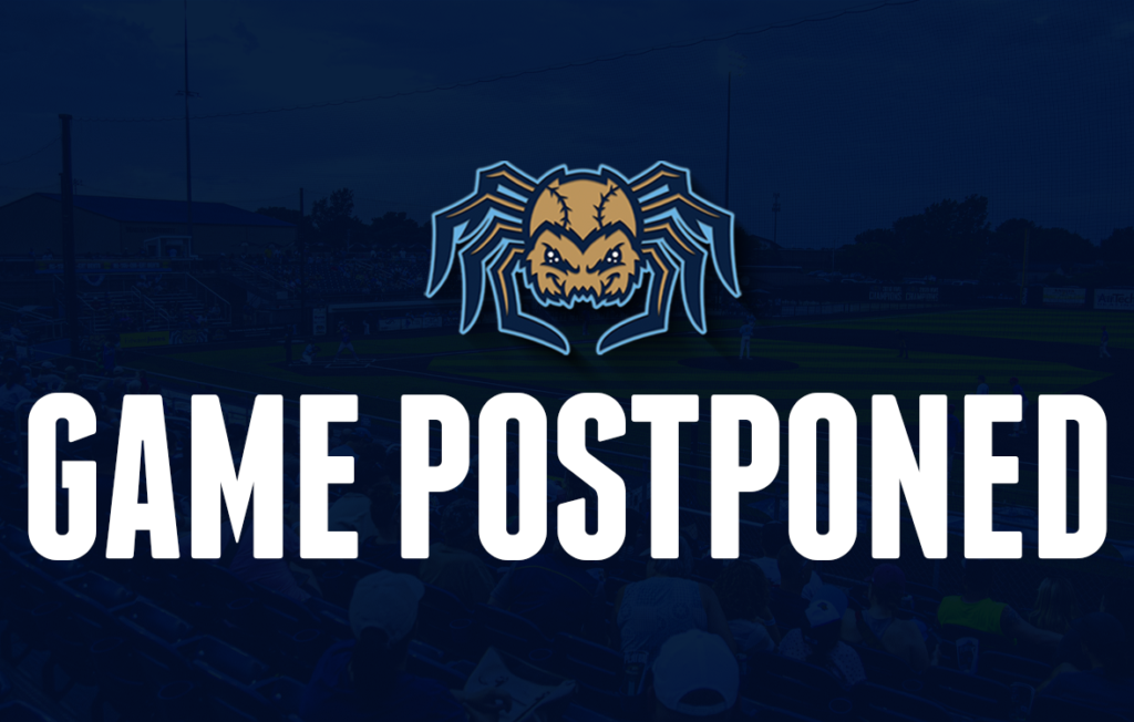 Game postponed with spider