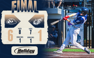 Dock Spiders Suffer a Setback to the Woodchucks