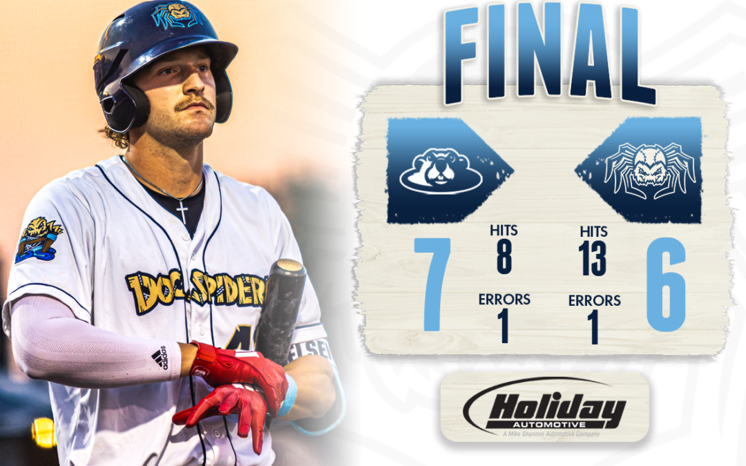 Dock Spiders Fall Short Against Woodchucks