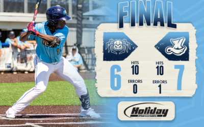 Dock Spiders Suffer Walk-off Loss to Mallards