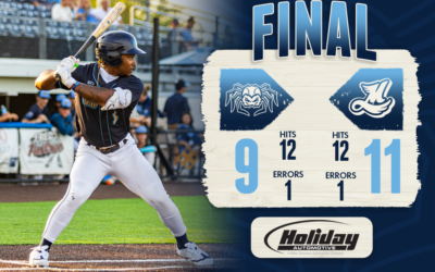 Dock Spiders Fall Short Against Mallards