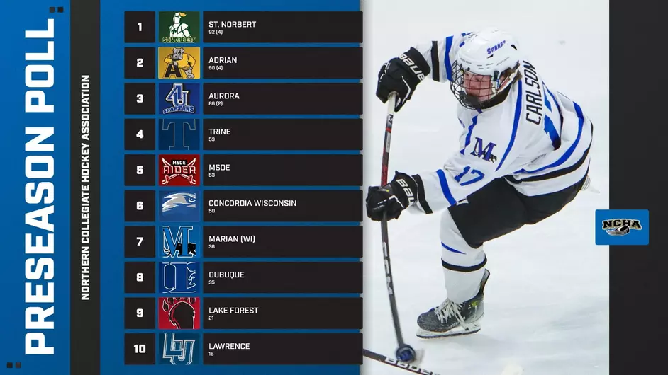 Men playing college hockey